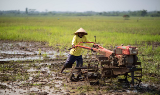 Petani di Barito Utara Dapat Pelatihan Perawatan Alat Mesin Pertanian